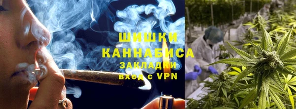гашик Тавда