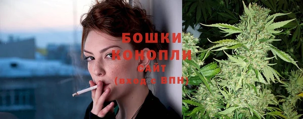 гашик Тавда