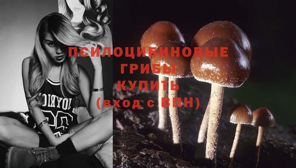 меф Сясьстрой