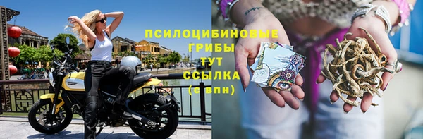гашик Тавда