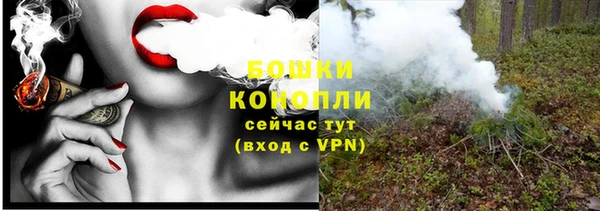apvp Тайга