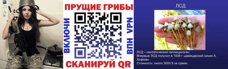 Псилоцибиновые грибы мицелий  Ачхой-Мартан 